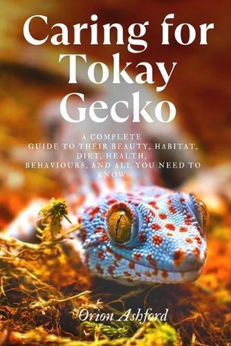 Caring for tokay gecko a - for,