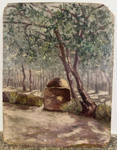 Sous bois ensoleillé huile - sous-bois,
