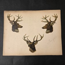 Grands Chromos Transferts