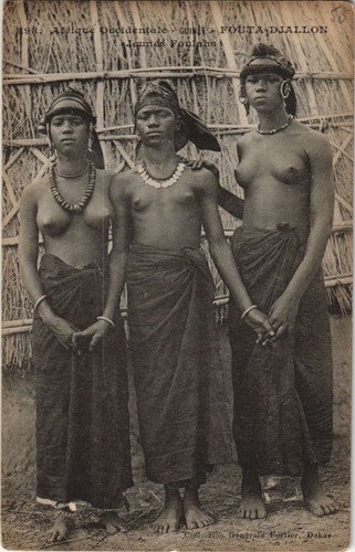 1198 jeunes foulahs guinee - pc,