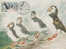 CARTE MAXIMUM 1ER JOUR -