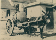 France, Normandie, âne et son attelage, ca.1925, Vintage silver print vintage si