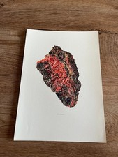 gravure minéraux N149