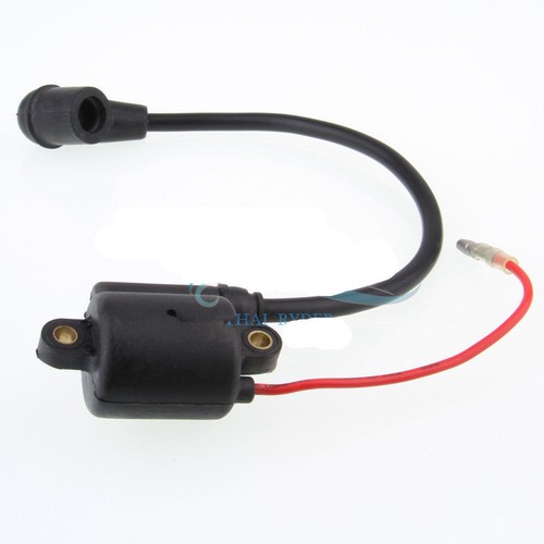Ignition coil for - ignition,