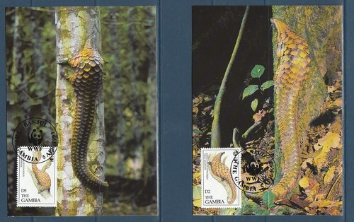 Carte wwf gambie nature - carte,