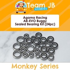 Agama Racing A8-EVO Buggy - 24