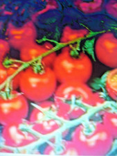 30 Graines de Tomate Cerise