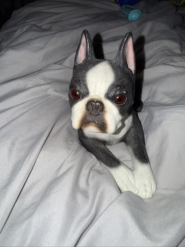 Boston terrier figurine - terrier,,