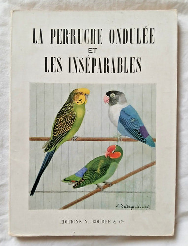 Perruche ondulée les - ondulée, et