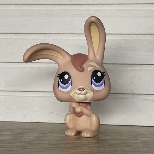 Petshop lapin garenne - 🌺petshop,