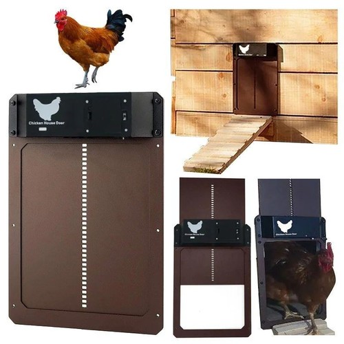 Porte poulailler automatique - porte,