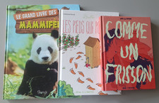 LOT DE 3 BD JEUNESSE - LIVRE