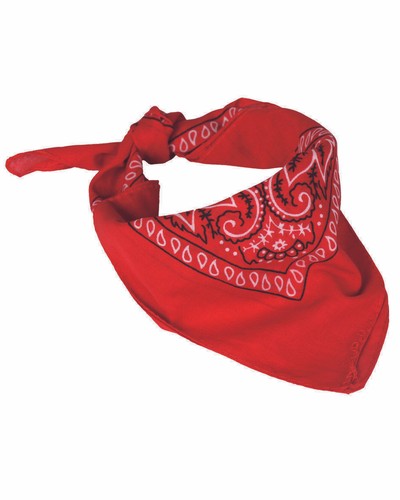 Western bandana paisley - western,