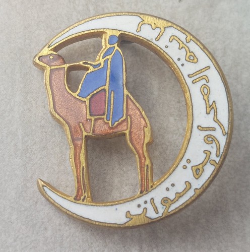 Ancienne insigne sahara - insigne,