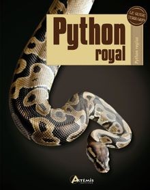 Python royal regius - :,