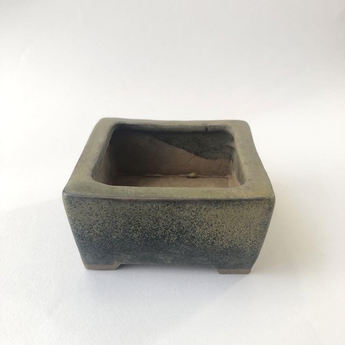 Kenji mitsuyama bonsai pot - mitsuyama,