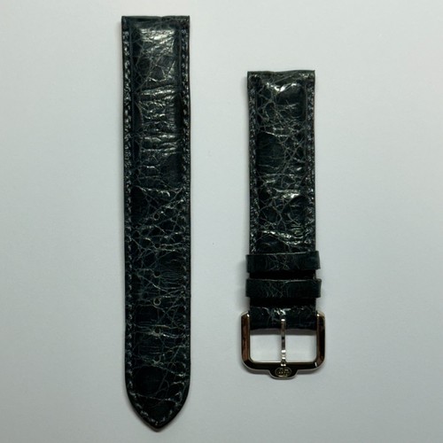 Bracelet montre alligatore - montre,