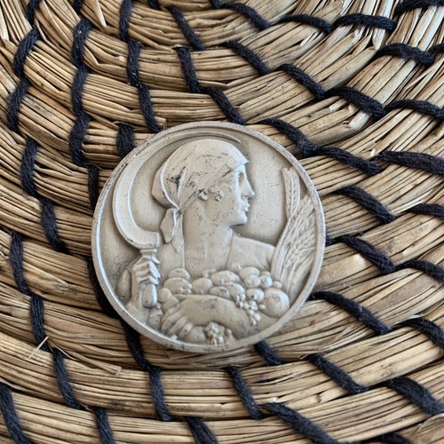 Ancienne médaille bronze - médaille,