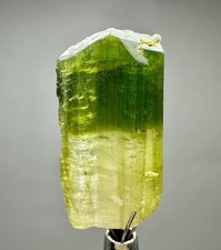 Cristal de tourmaline bicolore entièrement terminé de 23,80 carats
