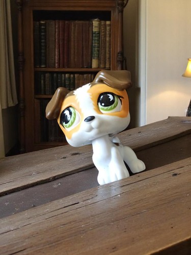 Figurine chien petshop - figurine,