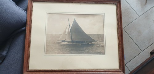 America cup grande photo - s,