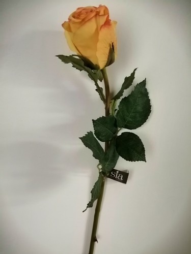 Sia fleurs artificielles - ,