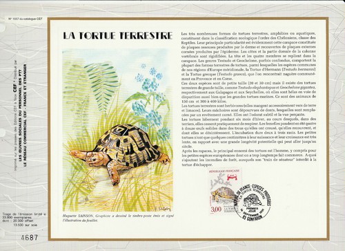 Feuillet cef nature - cef,