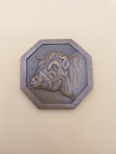 Médaille bronze delandre - bronze,