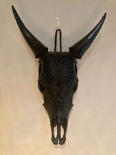 Magnifique crâne de vache