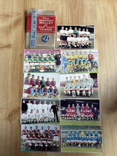 The hornet top cup teams - top,