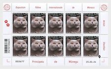 monaco 2024 cats BRITISH SHORTHAIR katzen gatos gatti chat pets 10v mnh FULL