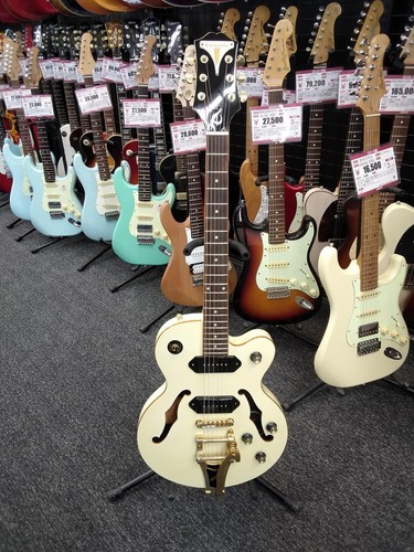 Wildkat used - pw,