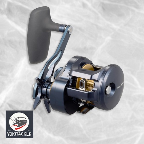 Daiwa saltiga 300h - 25,