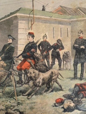 LE PETIT JOURNAL - EN