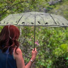 Parapluie Transparent Portable automatique, parapluie pliant pour femmes