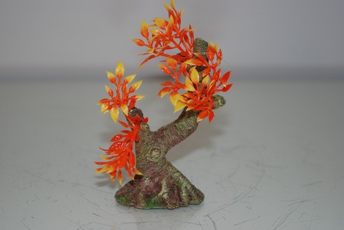 Plante aquarium bonsaï - plante,