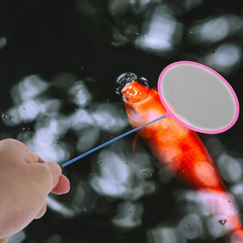 Pcs filet poisson - pcs,