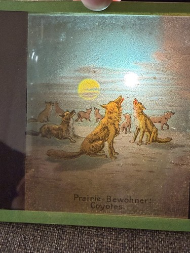 Plaque verre lanterne - plaque, de