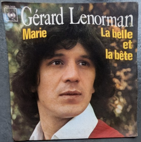 Gérard lenorman vinyle 45t - vinyle,