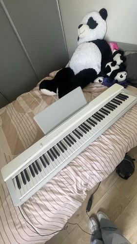Piano numérique casio - piano, privia