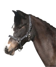 Horse Guard RIO Licol -