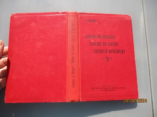 Chien berger garde - berger,