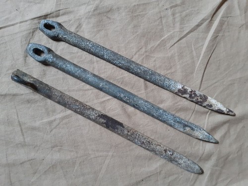 Jeu sardines pour toile - 3,