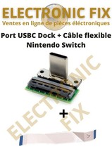 Nintendo Switch Port USB-C