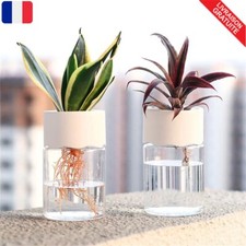 Mini Pot de Fleur Hydroponique