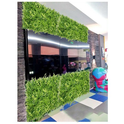 Feuillage haie verte herbe