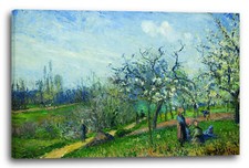 Toile/Cadres Camille Pissarro - Orchidée florissante