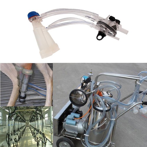 Machine plastique de - la,