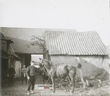 Soldat cheval, Front français, WW1, plaque verre photo ancienne stéréo 6x13 cm