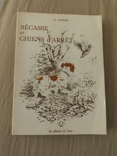 Bécasse chiens arrêt - d'arrêt,